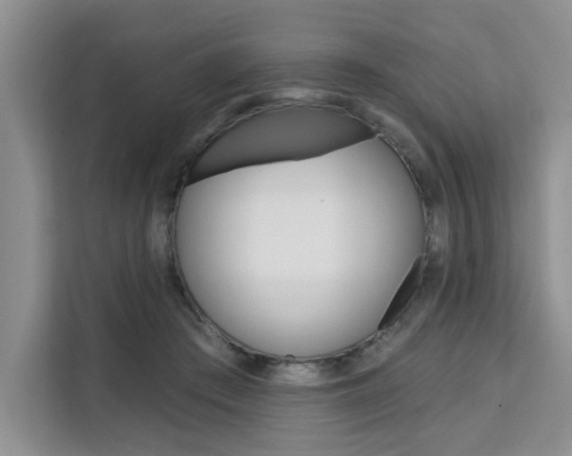 X0000111520409200907141240
