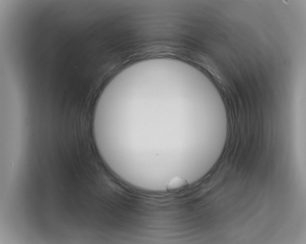 X0000111520411200907141240