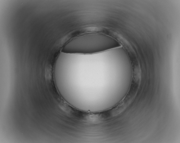 X0000111520413200907141240