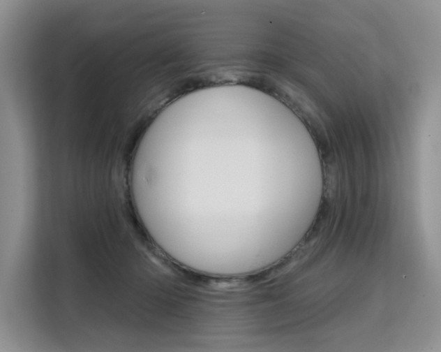 X0000111520414200907141240