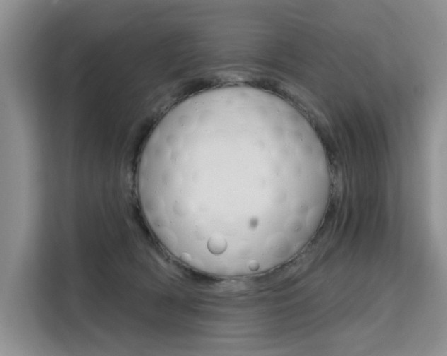 X0000111520418200907141240