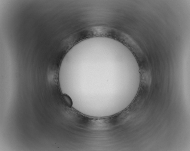 X0000111520419200907141240