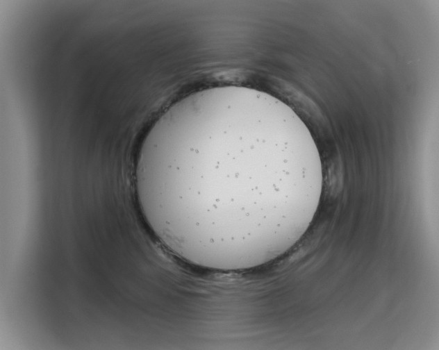 X0000111520424200907141240