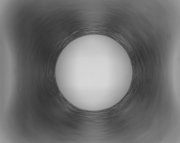 X0000111520425200907141240