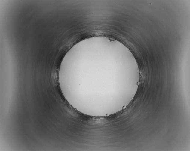 X0000111520427200907141240
