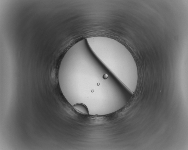 X0000111520428200907141240