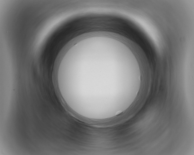 X0000111520431200907141240