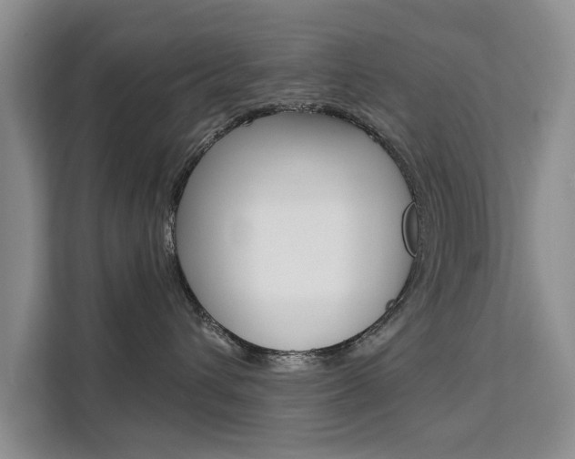 X0000111520432200907141240