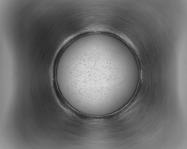 X0000111520438200907141239