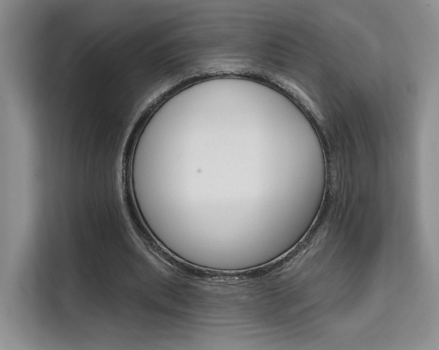 X0000111520439200907141239