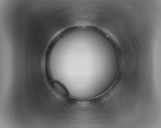 X0000111520440200907141239