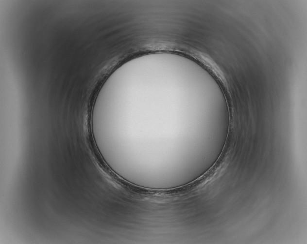 X0000111520441200907141239