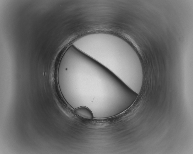 X0000111520443200907141239