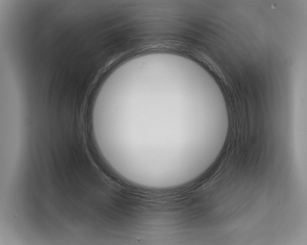 X0000111520444200907141239