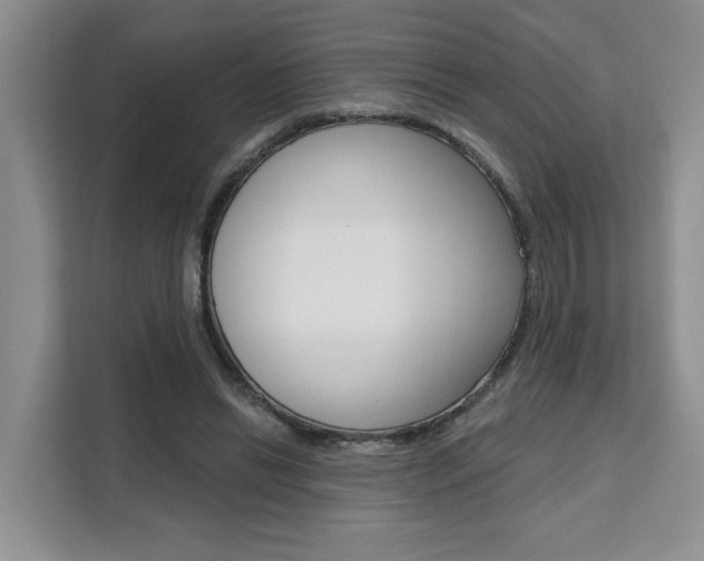 X0000111520446200907141239