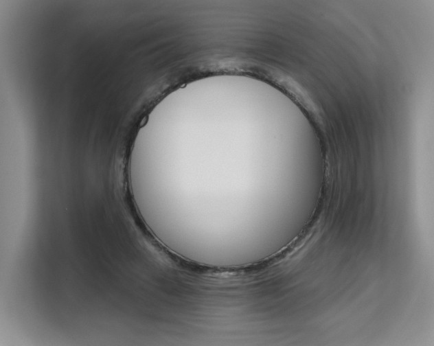 X0000111520449200907141240