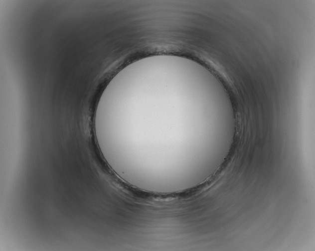 X0000111520450200907141240