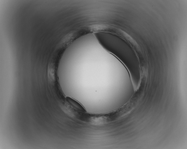 X0000111520452200907141240