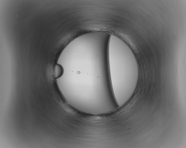 X0000111520453200907141240