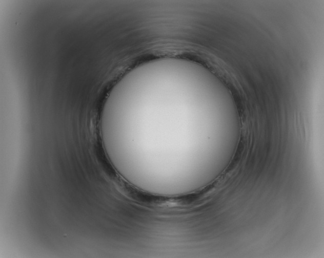 X0000111520460200907141240