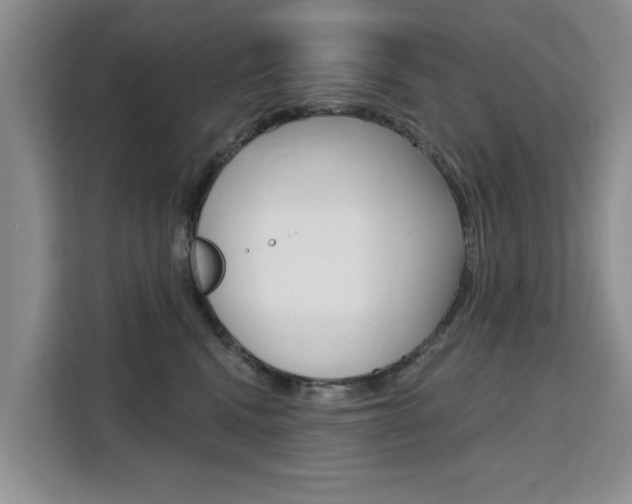 X0000111520472200907141240