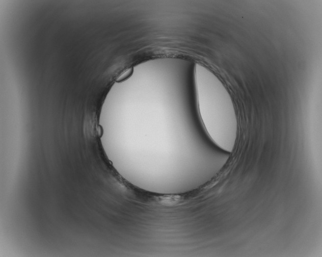 X0000111520474200907141240