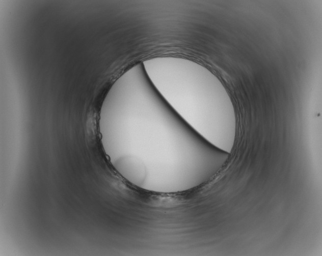 X0000111520475200907141240