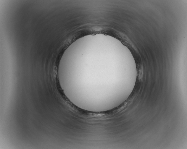 X0000111520476200907141240