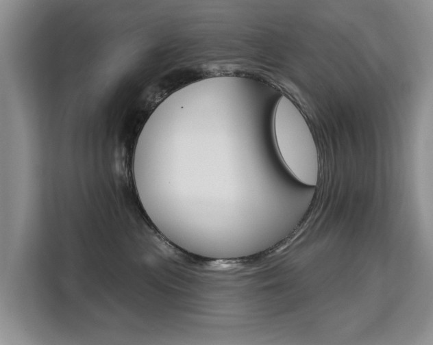 X0000111520477200907141240
