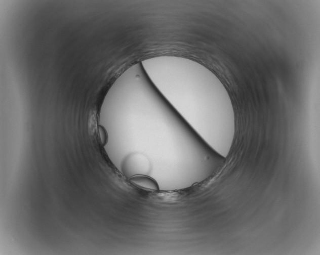X0000111520478200907141240