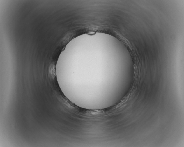 X0000111520479200907141240