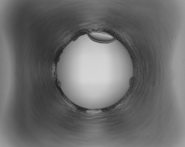 X0000111520480200907141240