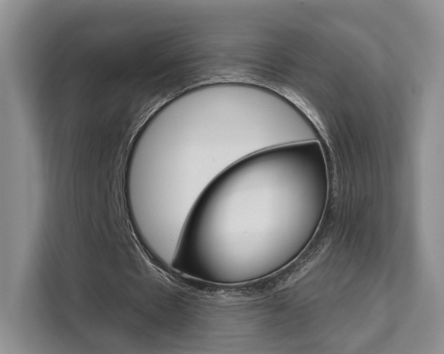 X0000111520481200907141239