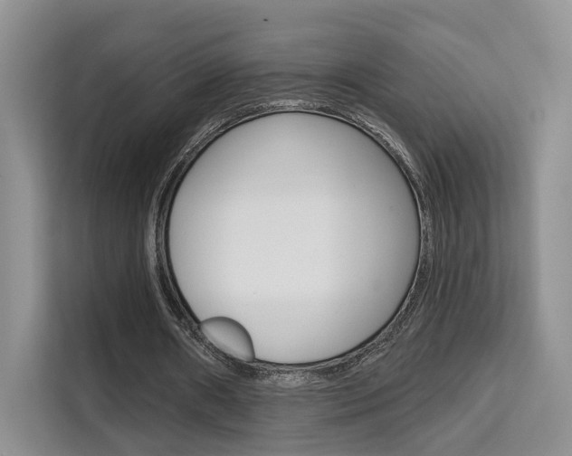 X0000111520482200907141239