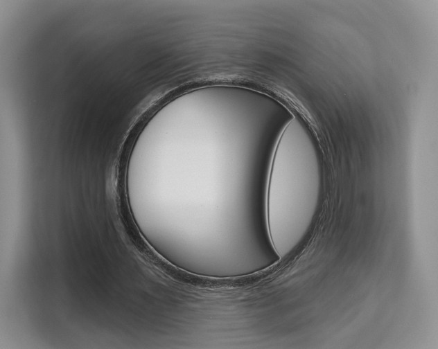 X0000111520483200907141239