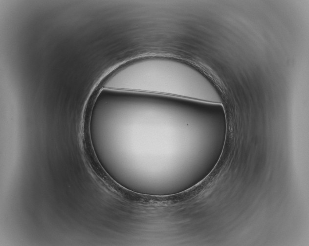 X0000111520484200907141239
