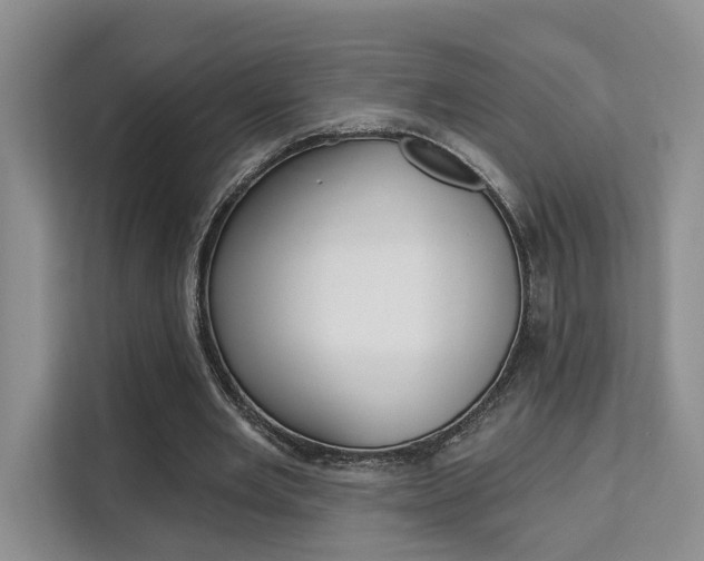 X0000111520485200907141239