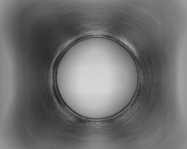 X0000111520486200907141239