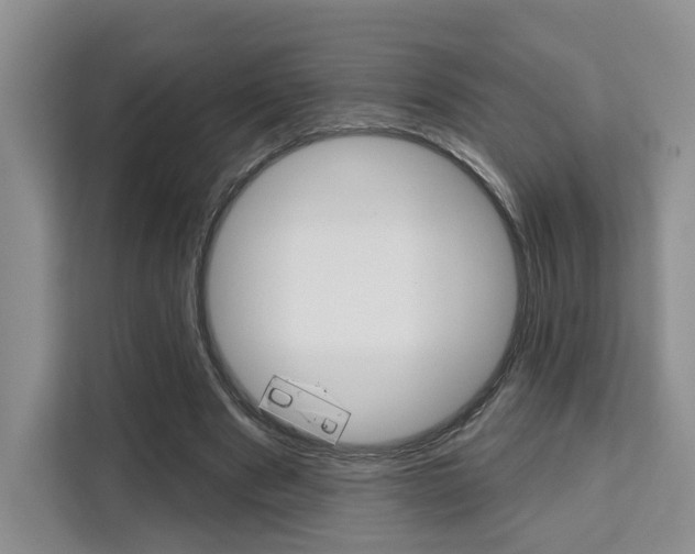 X0000111520489200907141239