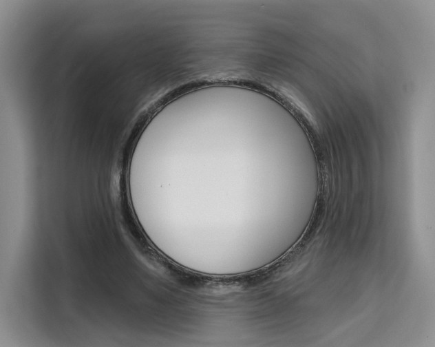 X0000111520491200907141239