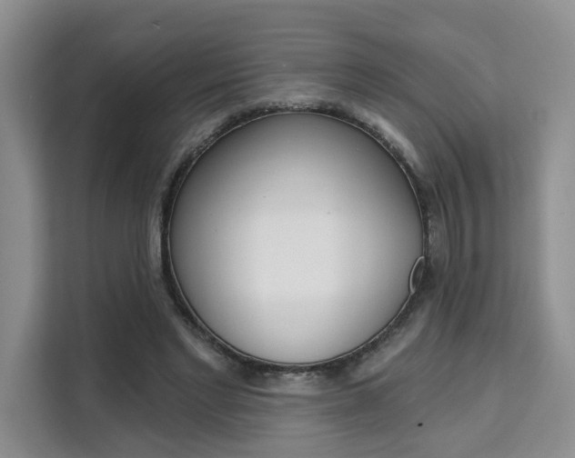 X0000111520493200907141239