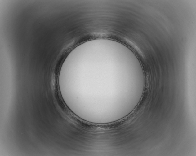 X0000111520494200907141239