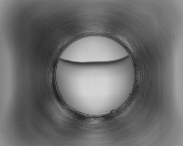 X0000111520495200907141239