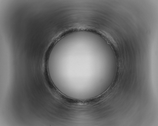 X0000111520496200907141239