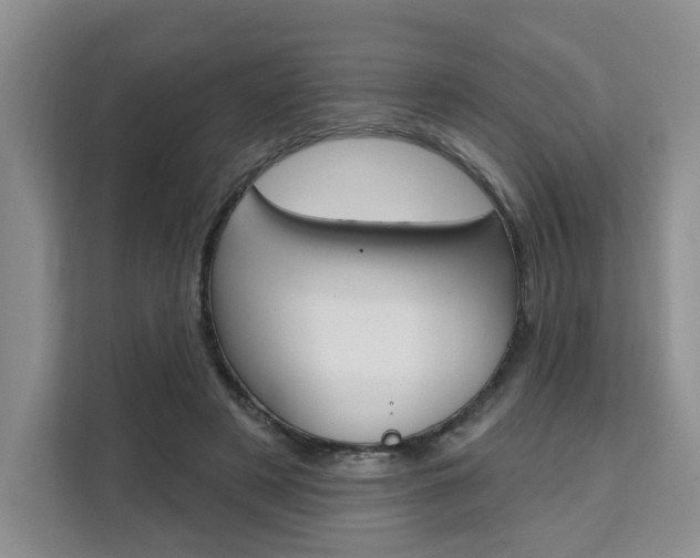 X0000111520497200907141239