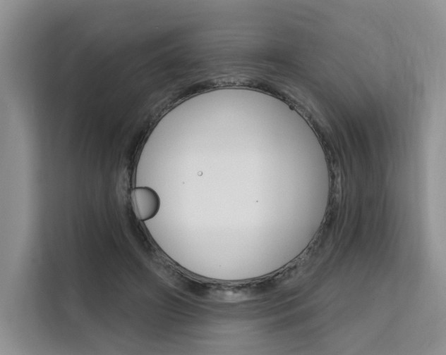 X0000111520498200907141239