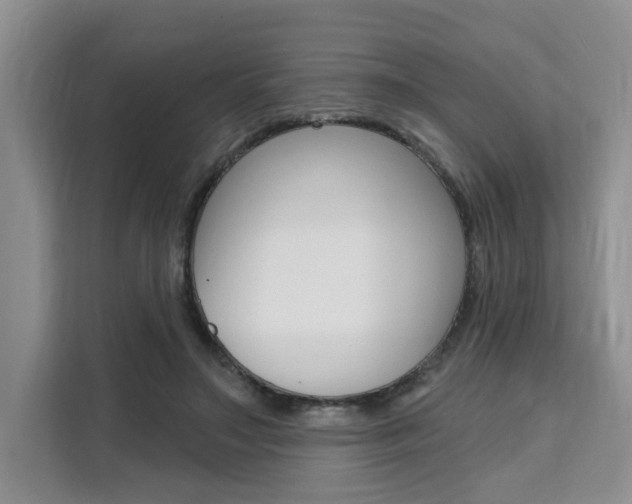 X0000111520499200907141239
