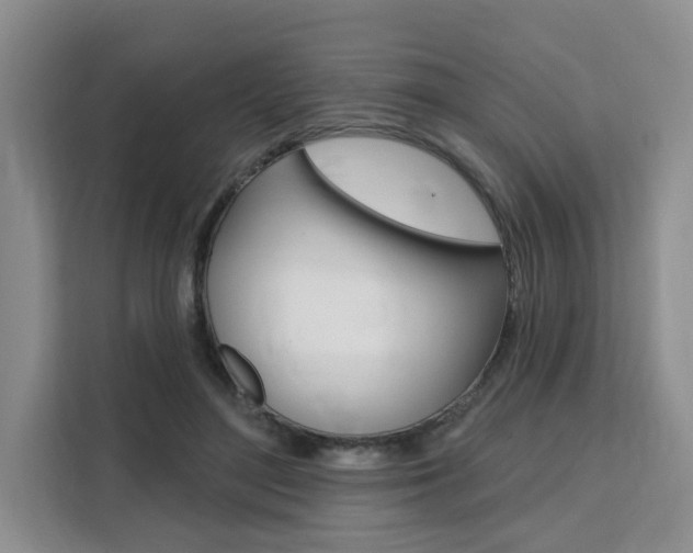 X0000111520500200907141239