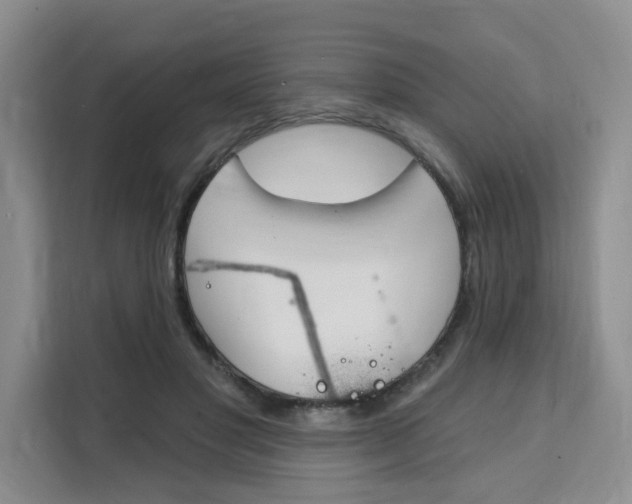 X0000111520501200907141239