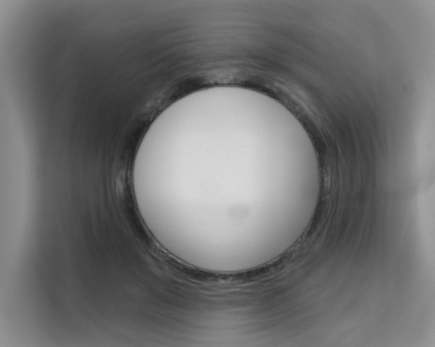 X0000111520503200907141239